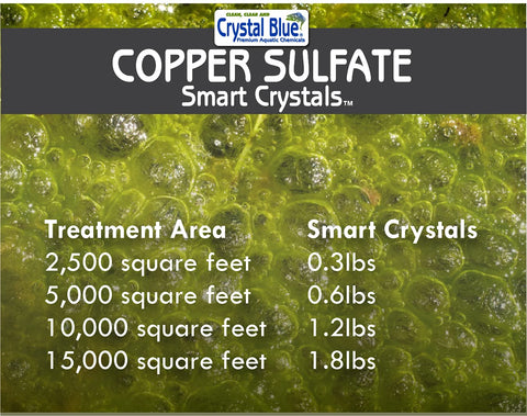 Crystal Blue producto en un estanque grande para tratamiento de algas