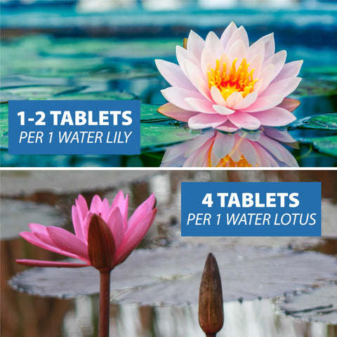 CrystalClear aplicación de tableta en maceta acuática que facilita nutrición