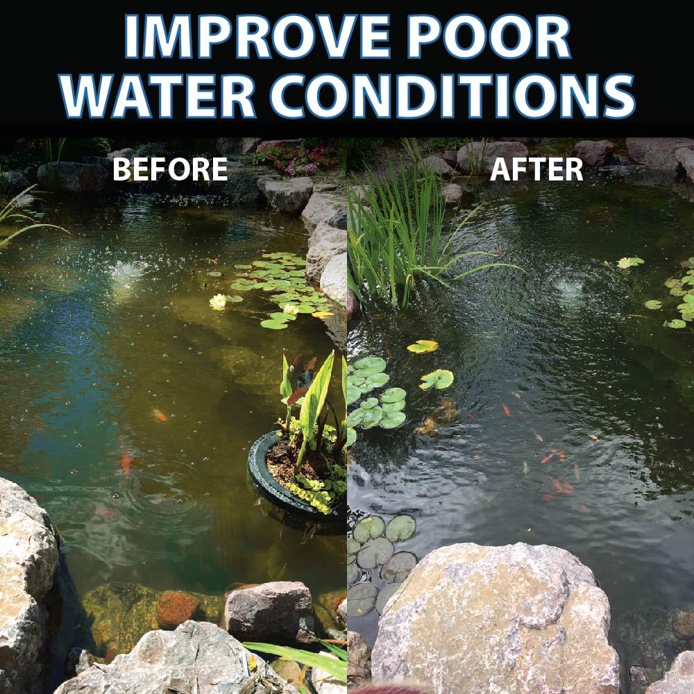 CrystalClear escena de jardín acuático transmite mantenimiento sencillo y estético