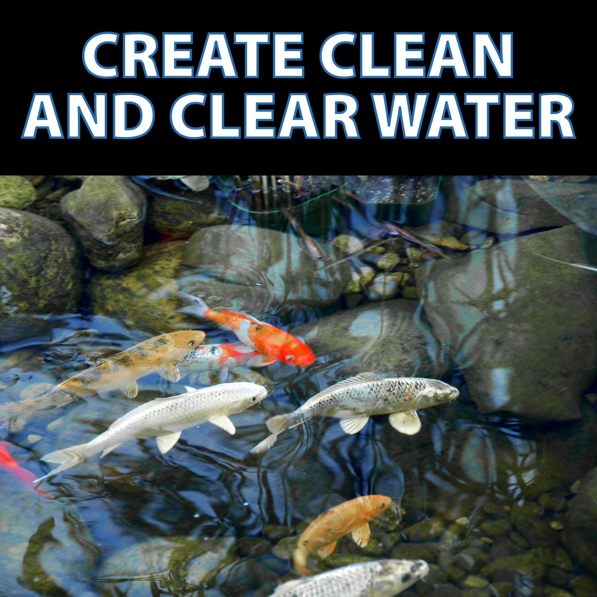 CrystalClear en un estanque de koi mostrando agua cristalina y visibilidad mejorada
