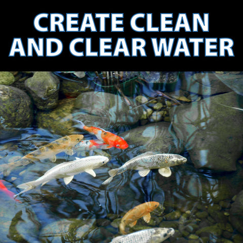 CrystalClear en un estanque de koi mostrando agua cristalina y visibilidad mejorada