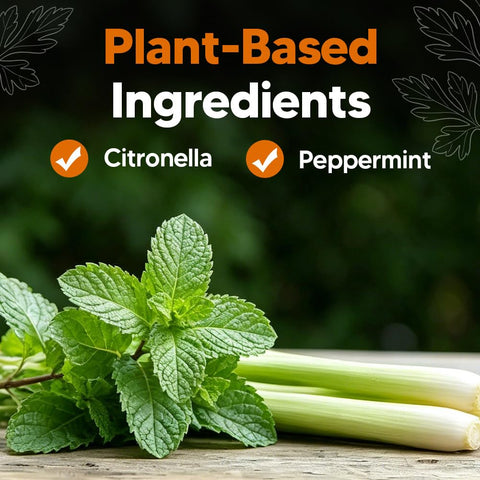 CuuFceEo primer plano de ingredientes vegetales resaltando origen natural