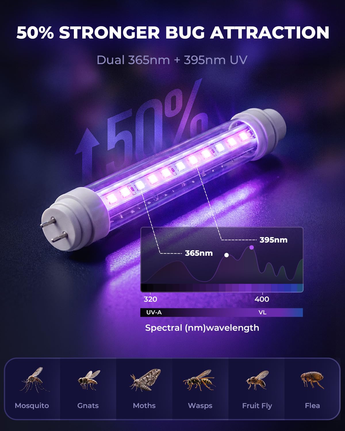 CXRUY detalle del tubo LED reemplazable que ofrece luz estable y larga duración