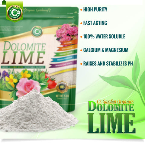 Cz Garden Supply polvo fino de dolomita en primer plano para reacción rápida