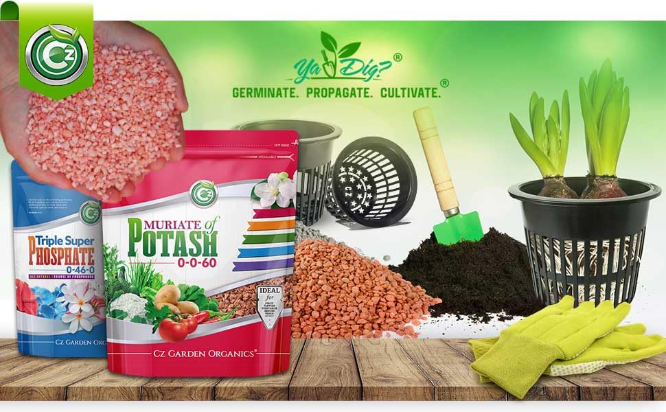 Cz Garden comparación antes y después en fruta con mejor tamaño
