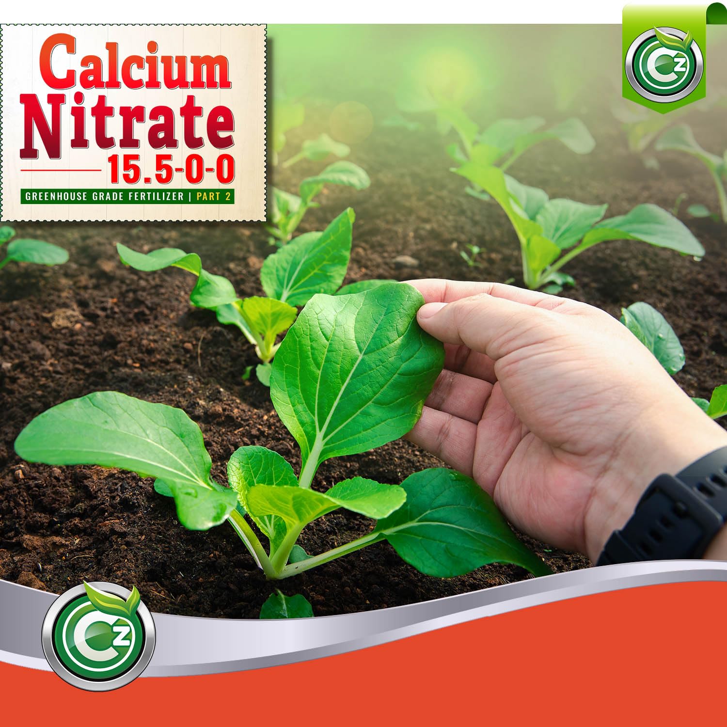 Cz Garden fertilizante aplicado en sistema NFT mejorando absorción