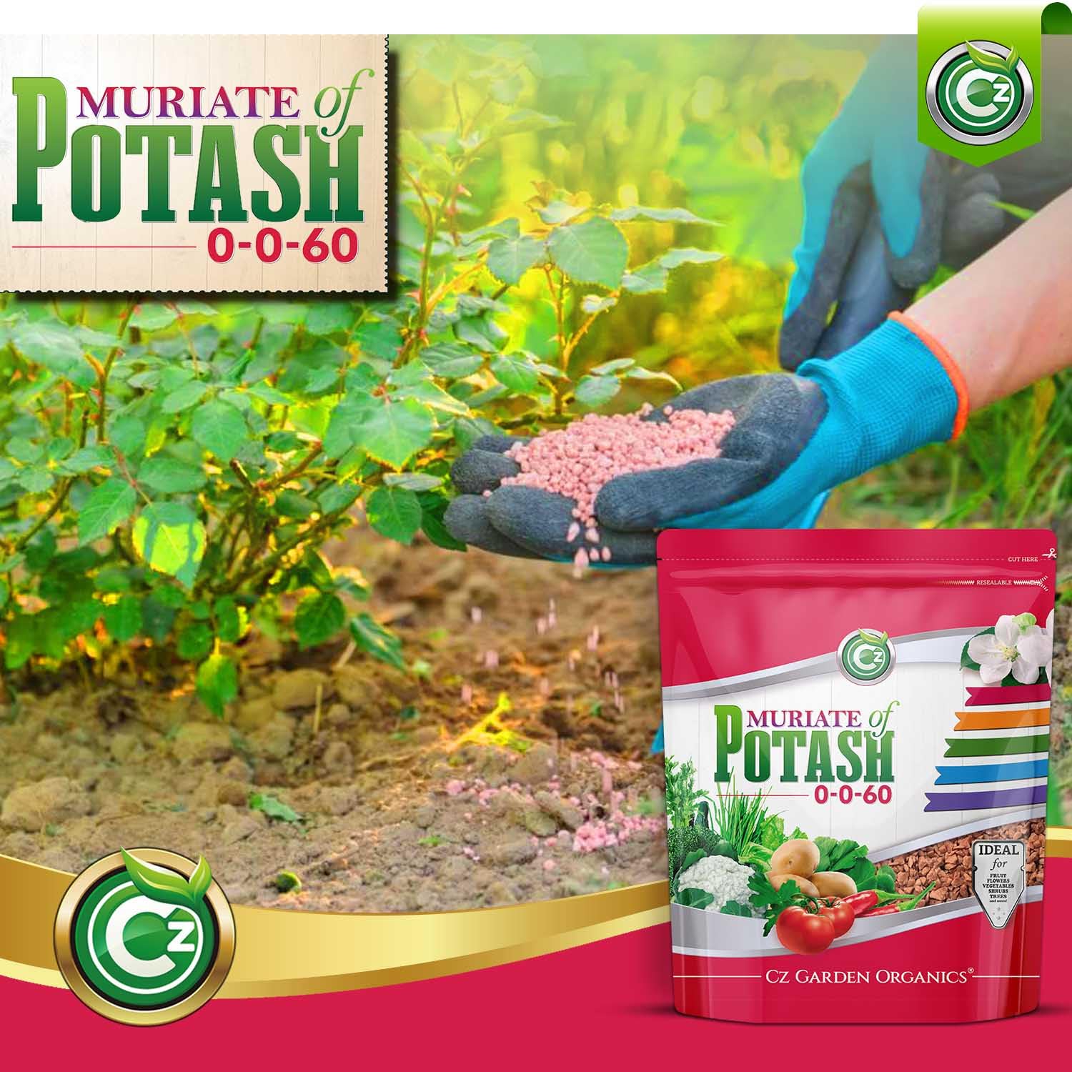 Cz Garden disolviendo el fertilizante en agua para fertirrigación eficaz