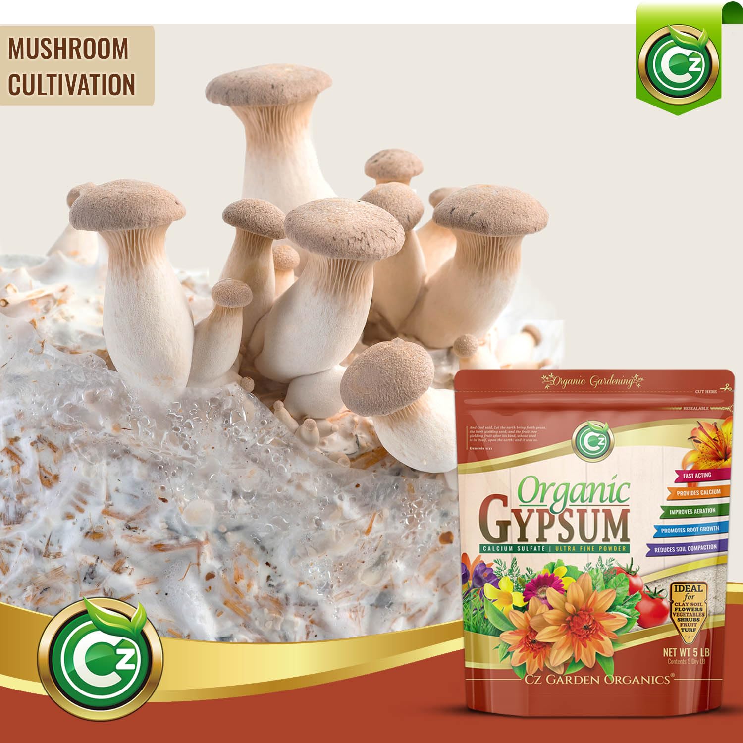 Cz Garden suelo antes y después con mejor drenaje y estructura