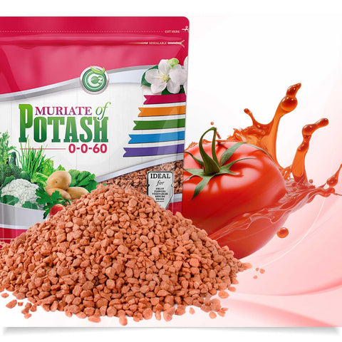 Cz Garden bolsa resellable abierta para fácil dosificación y almacenamiento