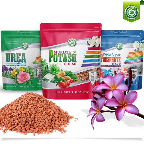 Cz Garden textura del polvo soluble, pura y de alta concentración