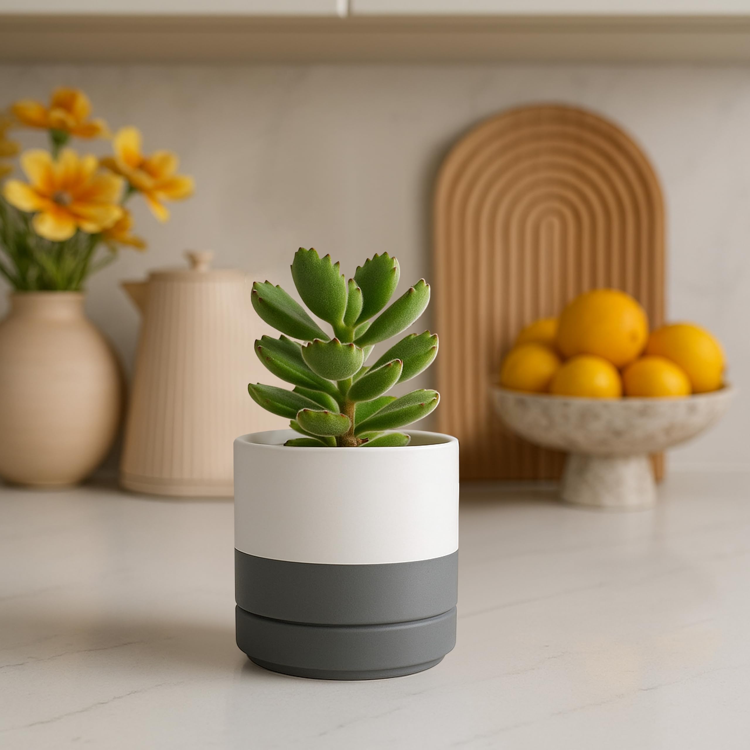 D'vine Dev conjunto blanco y gris ideal para combinar en interiores modernos