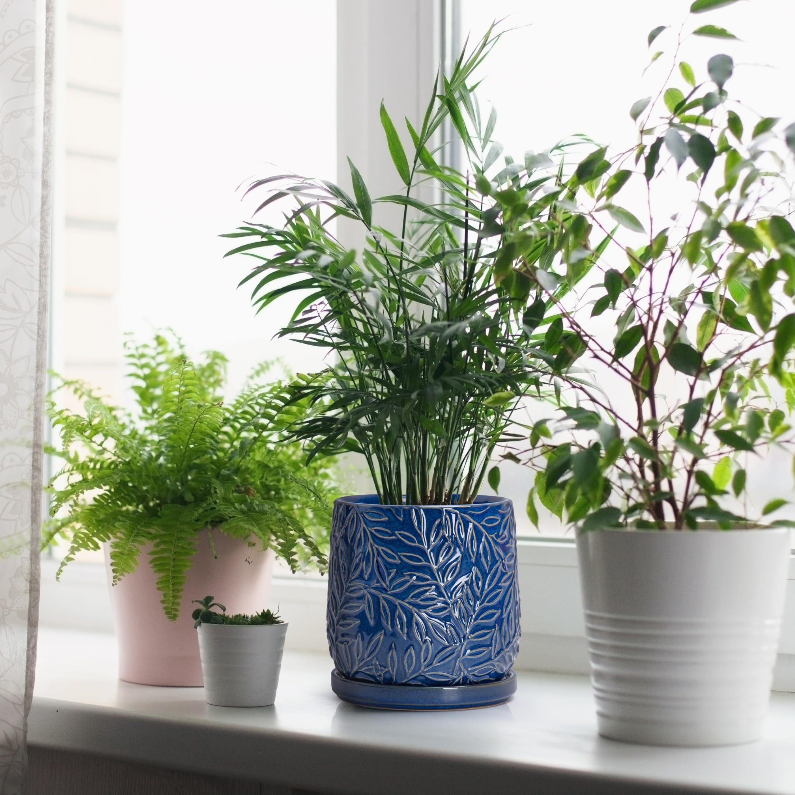 D'vine Dev maceta en estantería realzando plantas y decoración interior