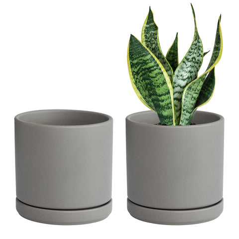 D'vine Dev maceta frontal mostrando diseño minimalista y acabado gris elegante