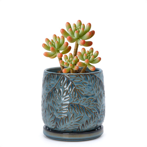 D'vine Dev maceta frontal en Ocean Teal muestra estilo elegante