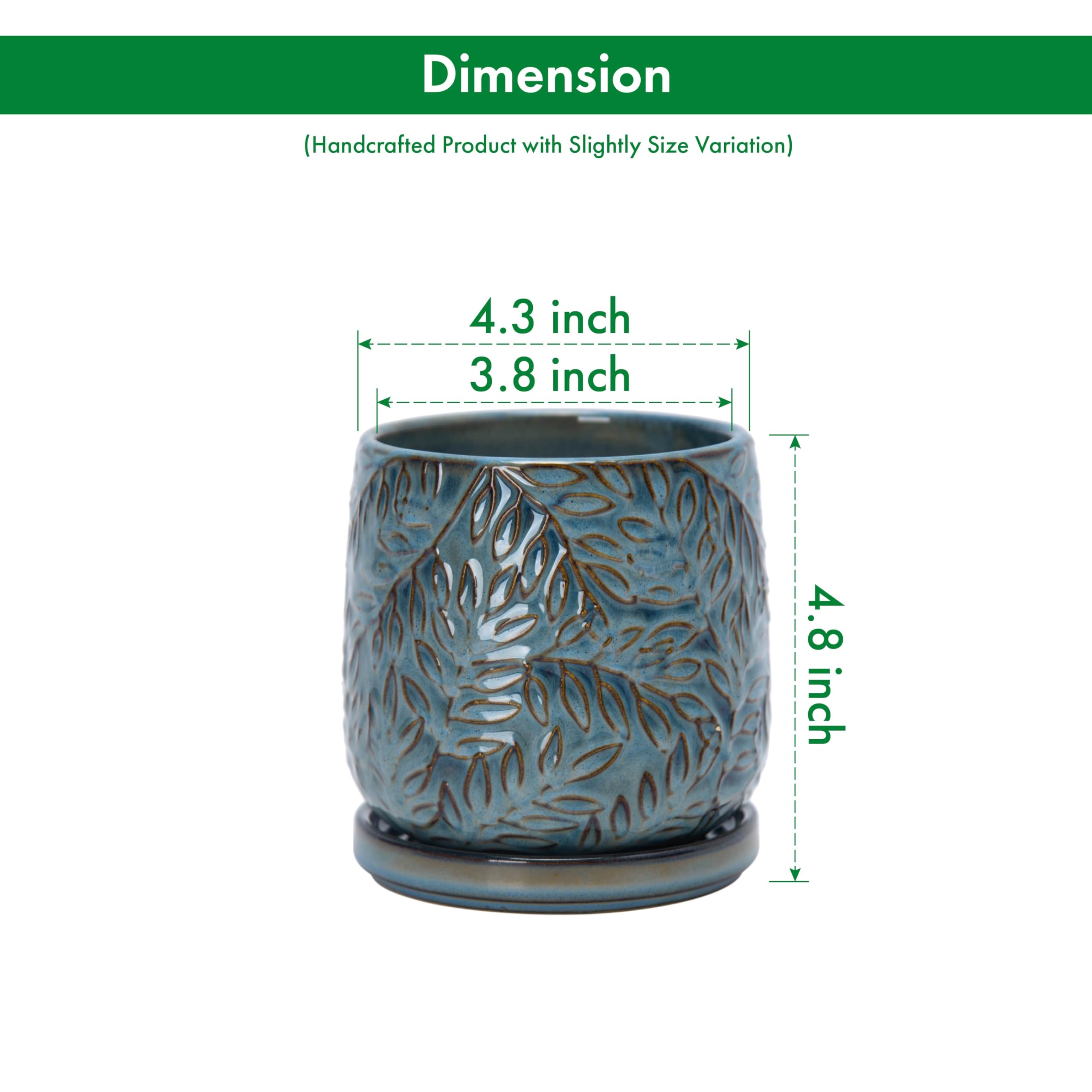 D'vine Dev esmalte y textura cerámica resistente y fácil de limpiar