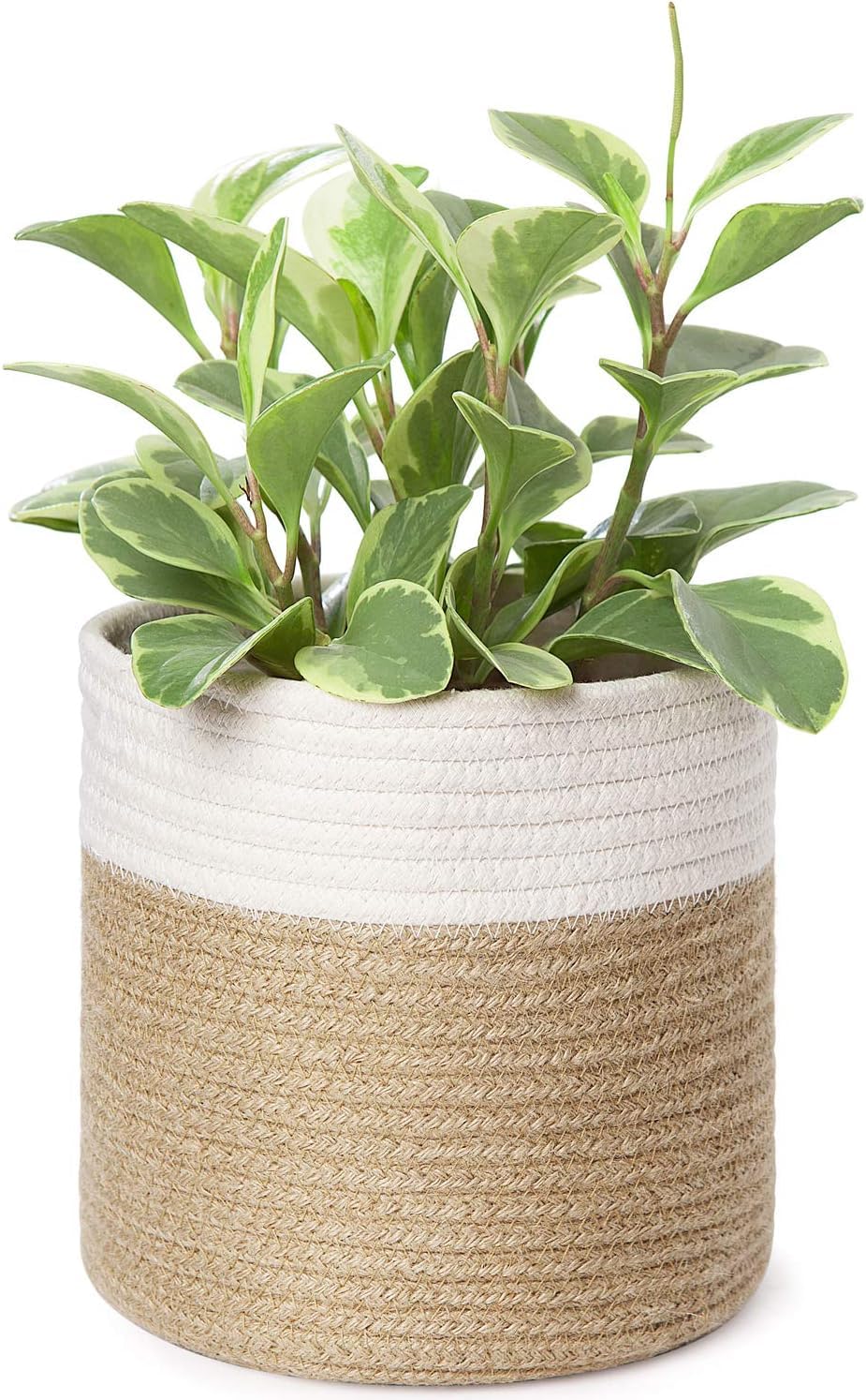 Dahey cesta frente mostrando diseño blanco y beige y mejora estética