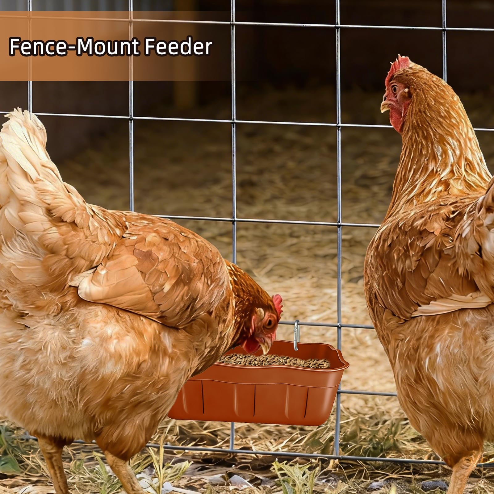 DallerSoode comedero en gallinero mejorando orden y estética