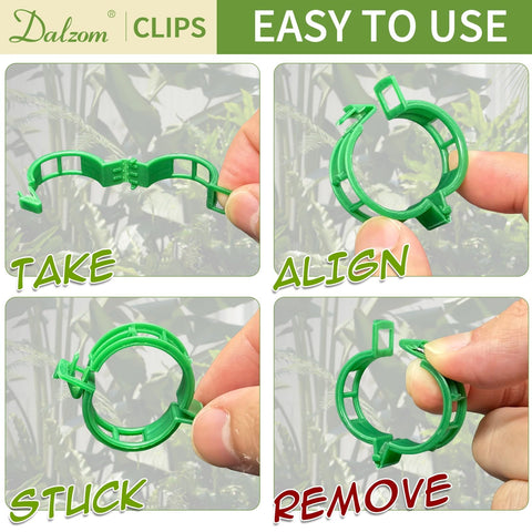 Dalzom clip sujetando rama de tomate y beneficio soporte seguro
