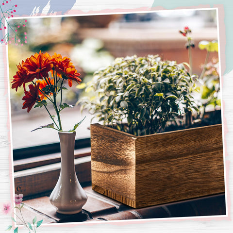 Dandat macetero en uso como centro de mesa, realza decoraciones y flores