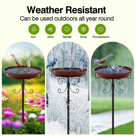 Daoeny baño con fuente solar añadida movimiento de agua para atraer aves