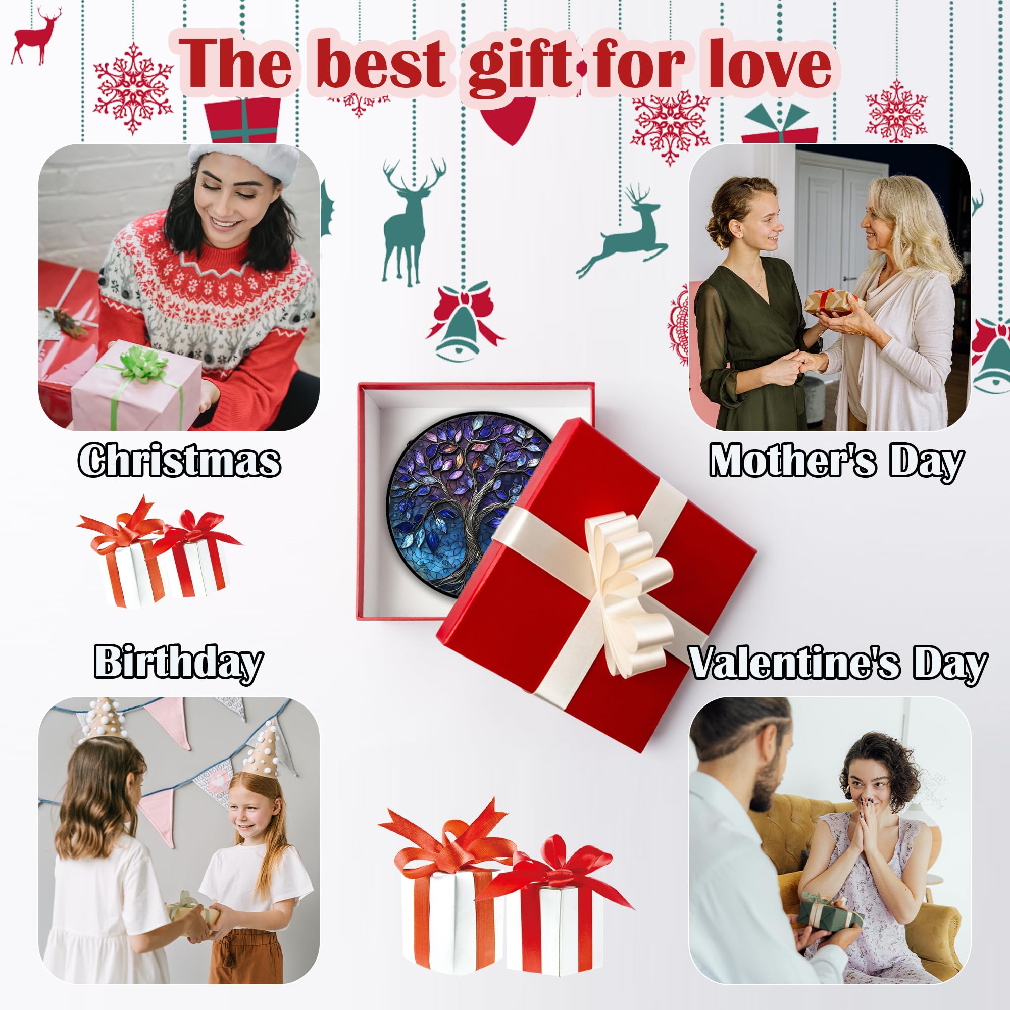 DASTOLL empaque listo para regalo, presentación cuidada y práctica
