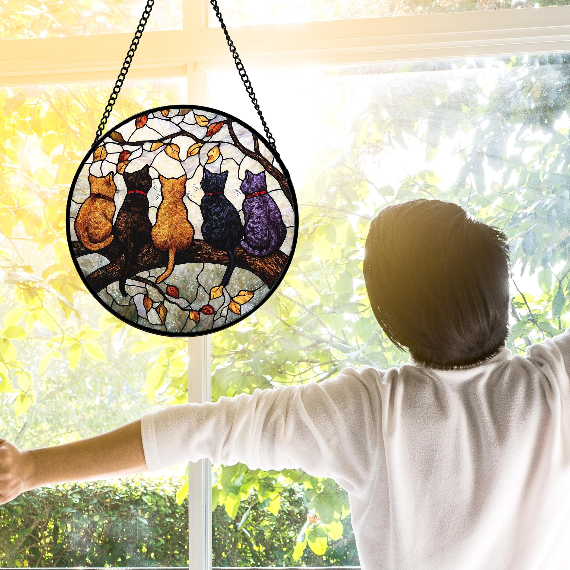 DASTOLL colgando en ventana con luz natural para ambiente cálido