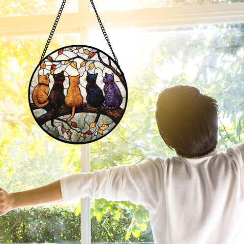 DASTOLL colgando en ventana con luz natural para ambiente cálido