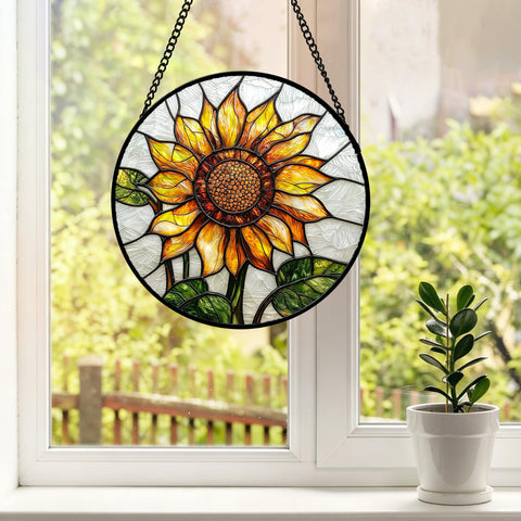DASTOLL comparación de tamaño para ubicar en ventanas pequeñas