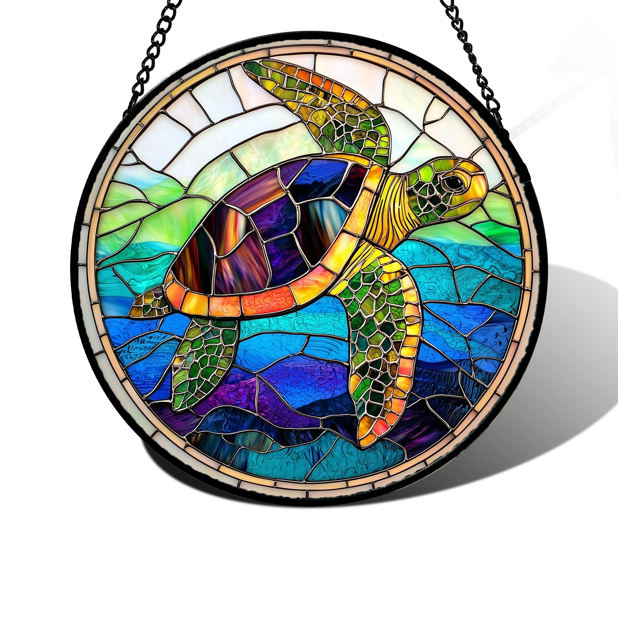 DASTOLL tortuga vista frontal mostrando color y diseño decorativo