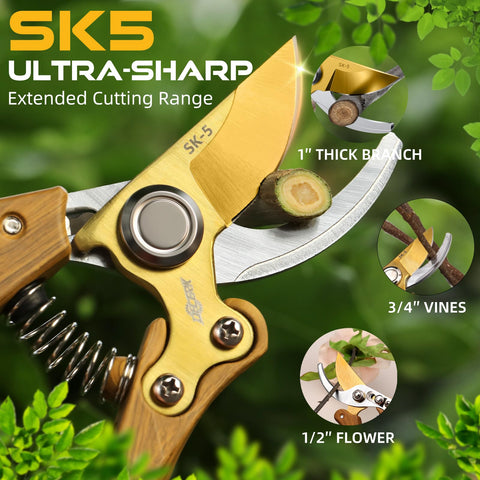 DECERK tijeras en uso podando un rosal control preciso