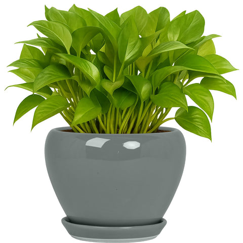 Deep Dream vista frontal de la maceta cerámica gris con diseño moderno y estabilidad