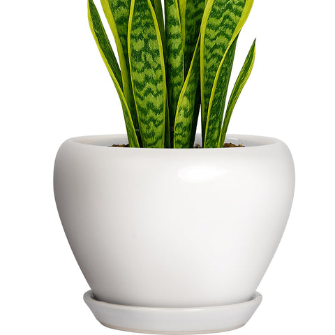 Deep Dream maceta vista frontal blanca elegante y moderna que embellece espacios