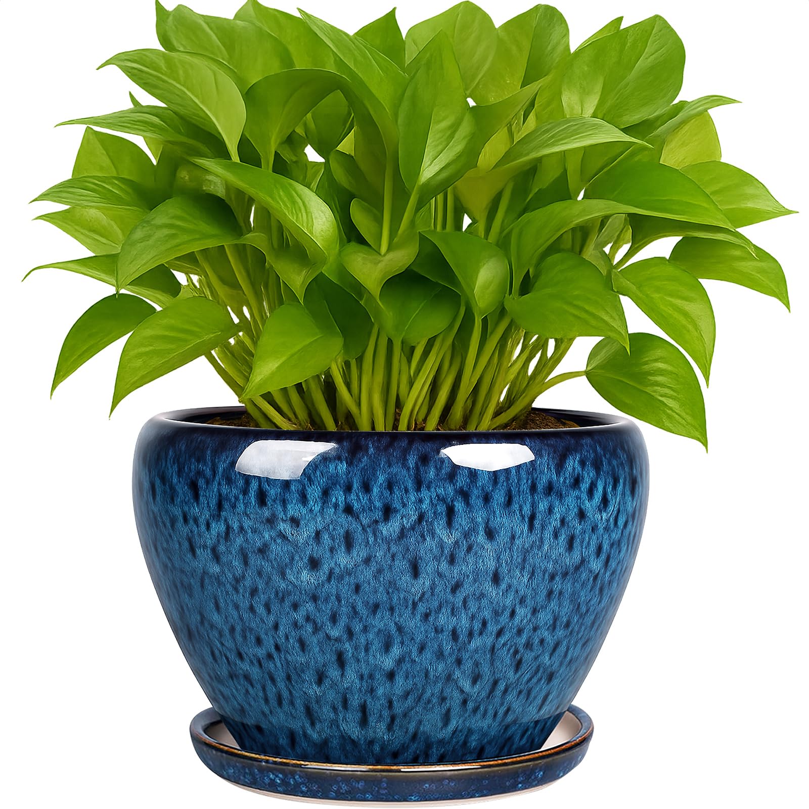 Deep Dream maceta frontal azul, aspecto elegante y decorativo