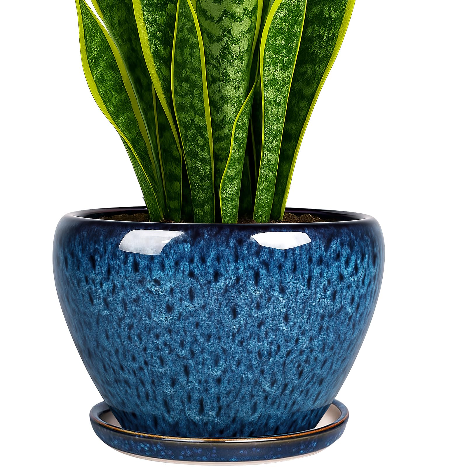 Deep Dream vista frontal de maceta azul pavo real, diseño elegante y decorativo