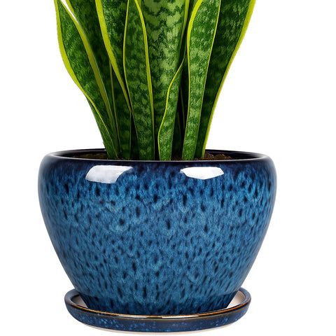 Deep Dream vista frontal de maceta azul pavo real, diseño elegante y decorativo