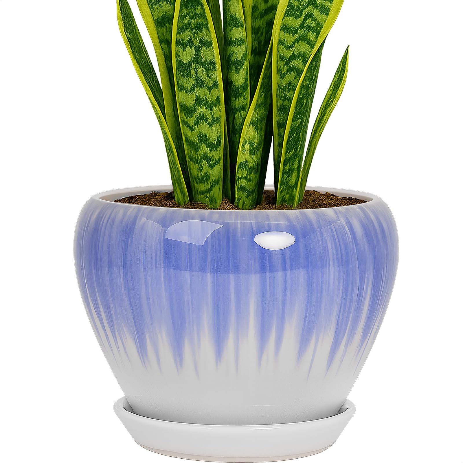 Deep Dream maceta frontal blanco y azul, aporta estilo decorativo