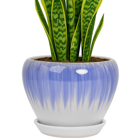 Deep Dream maceta frontal blanco y azul, aporta estilo decorativo