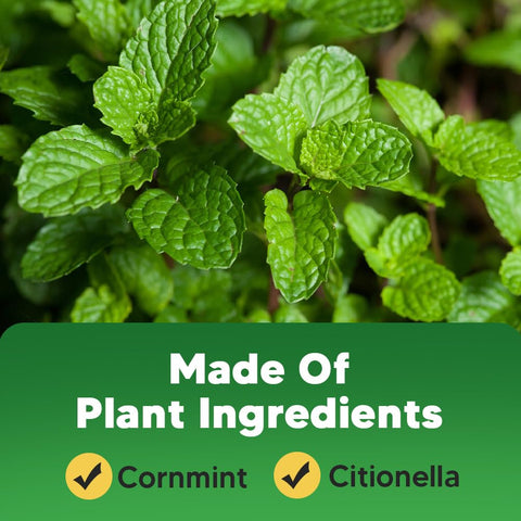 DERTUYE sello que resalta origen vegetal y seguridad para el hogar