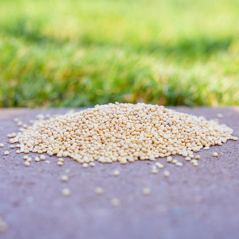 Desert Valley Supply cierre resellable detalle para conservar frescura