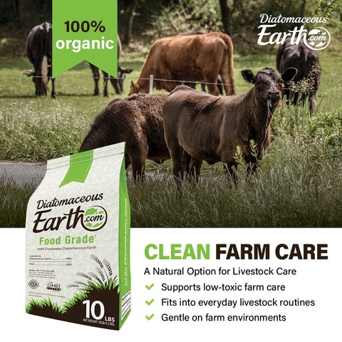 Diatomaceous Earth en uso con mascotas en área seca mostrando seguridad doméstica
