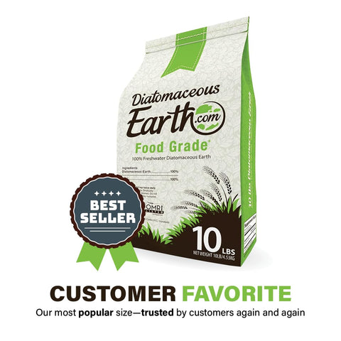 Diatomaceous Earth textura cerca mostrando polvo fino y ventaja de absorción