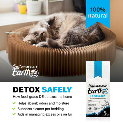 Diatomaceous Earth textura en primer plano, polvo fino beneficioso para suelos