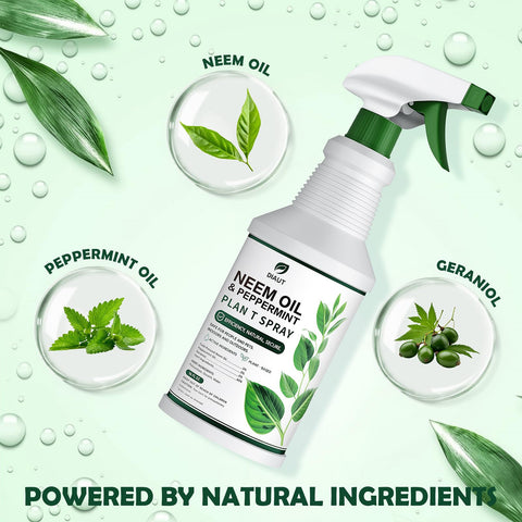 Diaut detalle de etiqueta resaltando ingredientes naturales y uso seguro