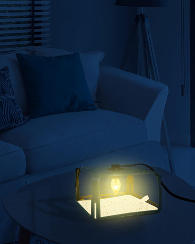 Dichroma trampa activa en dormitorio, solución segura para interiores