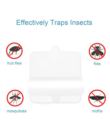 Dichroma trampa en uso dentro del hogar, captura discreta de insectos