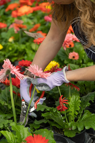 DIGZ guantes Planter en uso plantando en maceta para control y destreza