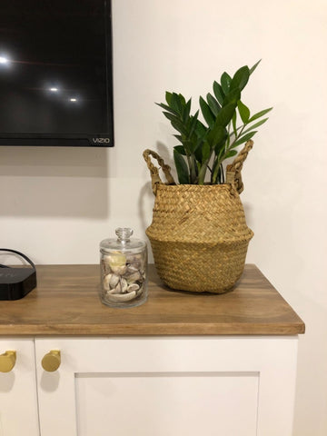 DOKOT cesta con planta en salón añadiendo calidez y estilo