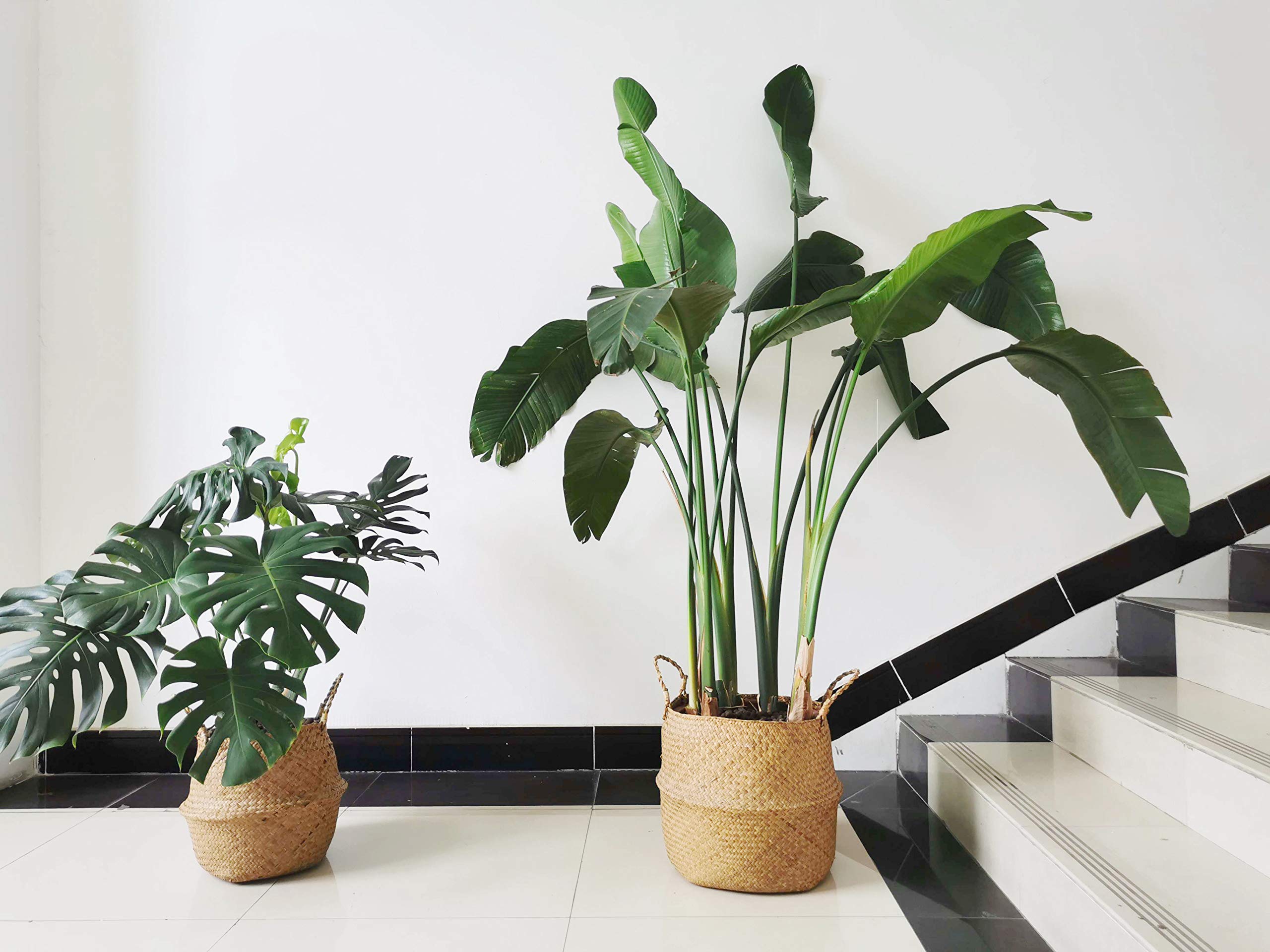 DOKOT cesta con maceta interior demostrando uso decorativo seguro