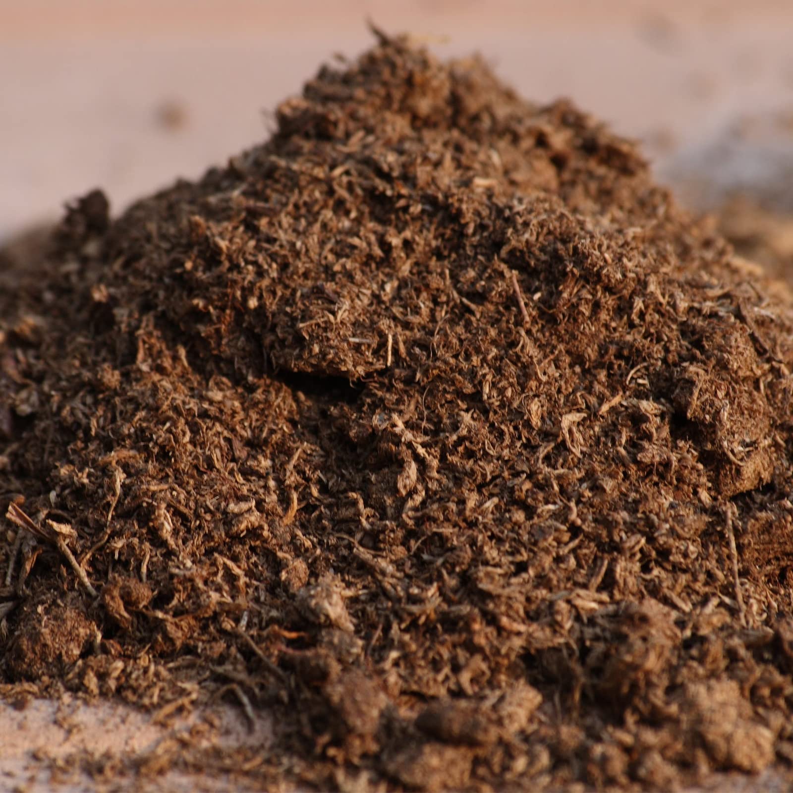 Doter turba usada en maceta con planta carnívora, medio ideal y ácido