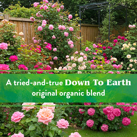 Down To Earth aplicación en parterre promoviendo raíces fuertes y sanas